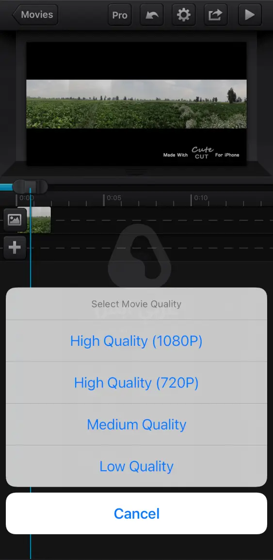 كيوت كت للايفون