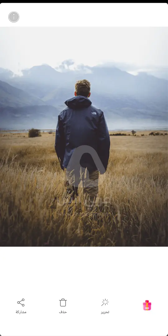 كاميرا كاندي