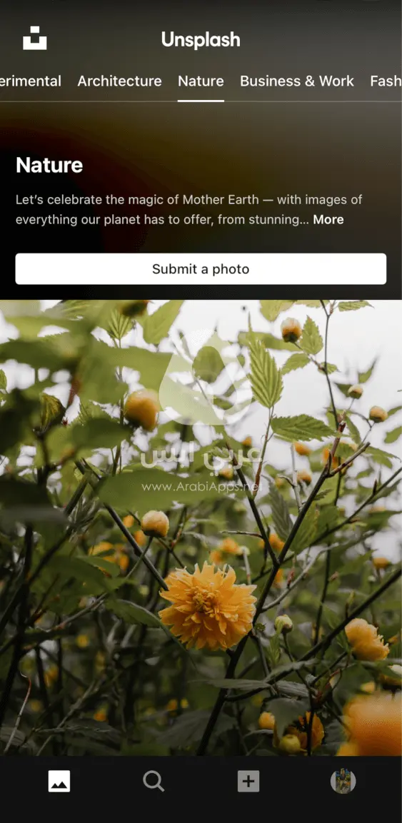 أونسبلاش Unsplash