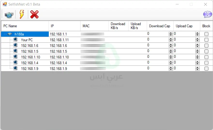 تنزيل سيلفش نت