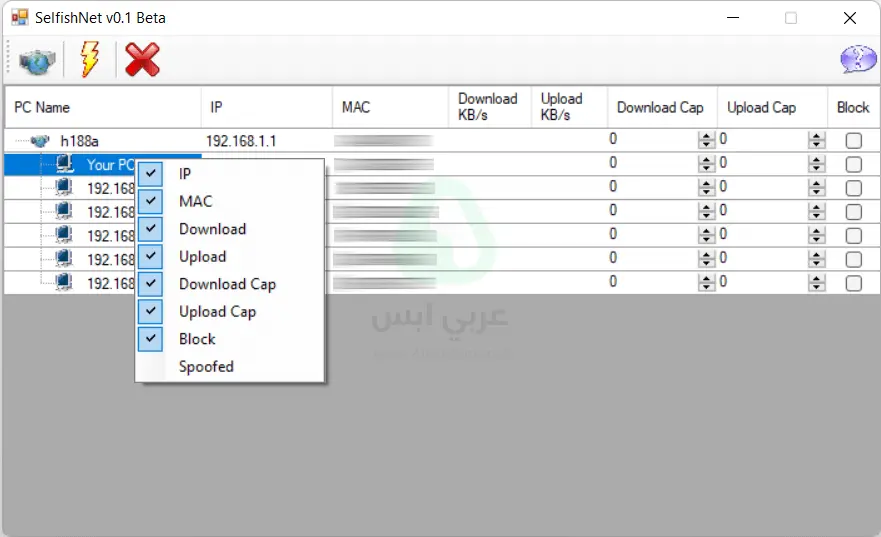 سيلفش نت للكمبيوتر