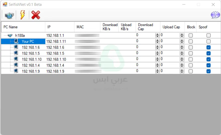 برنامج سيلفش نت