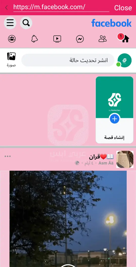 فيسبوك الوردي