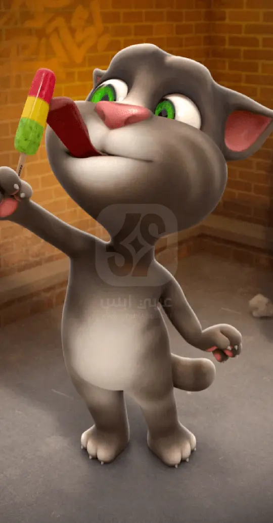 Talking Tom Cat APK
