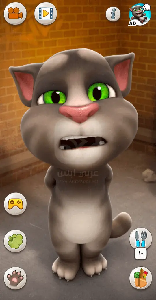 القط توم المتكلم APK