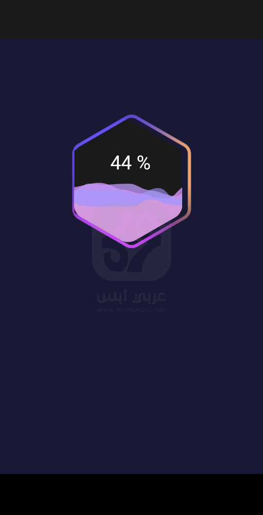تطبيق Rapid Cleaner