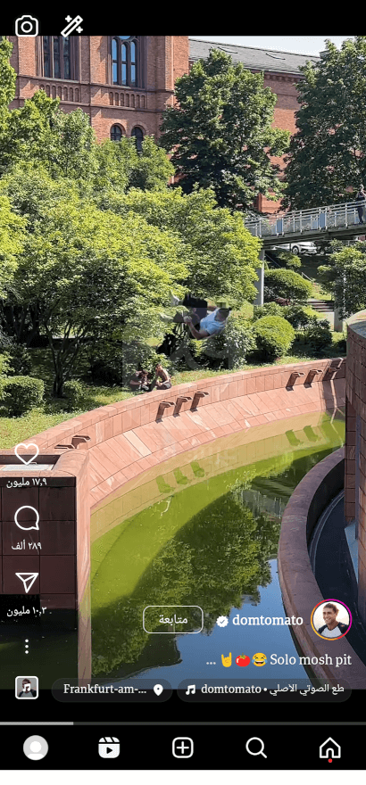 تطبيق هونيستا لايت APK