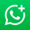 واتساب الاعمال